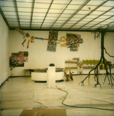 Hilka Nordhausen, Württembergischer Kunstverein, 1981