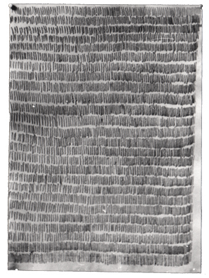 Kunst, Konzeptkunst, Zeichnung, Zeit, Untersuchungen zum Zeichenvorgang